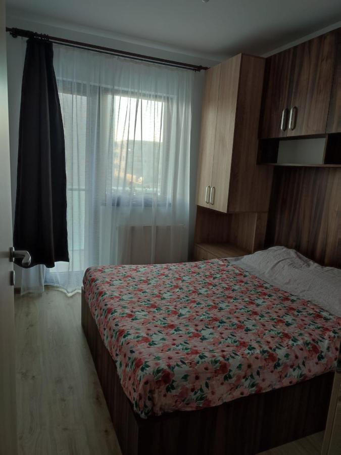 Marina'S House Appartement Ghimbav Buitenkant foto