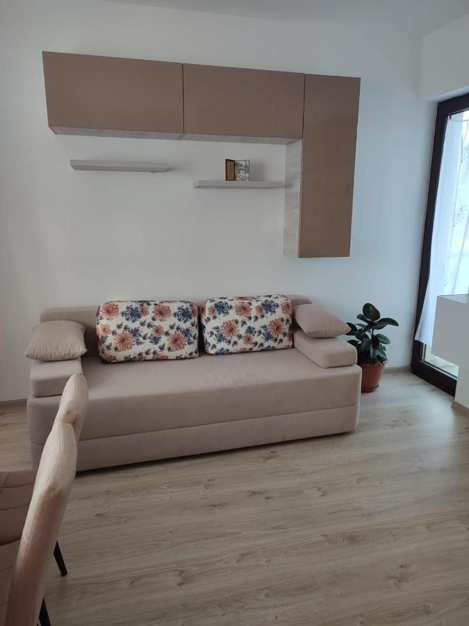 Marina'S House Appartement Ghimbav Buitenkant foto